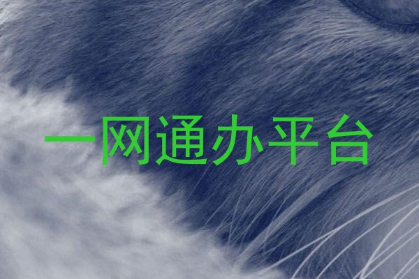一网通办平台