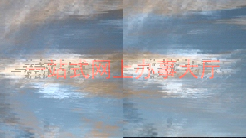 一站式网上办事大厅