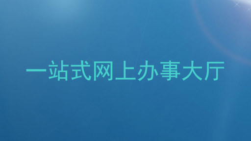 一站式网上办事大厅