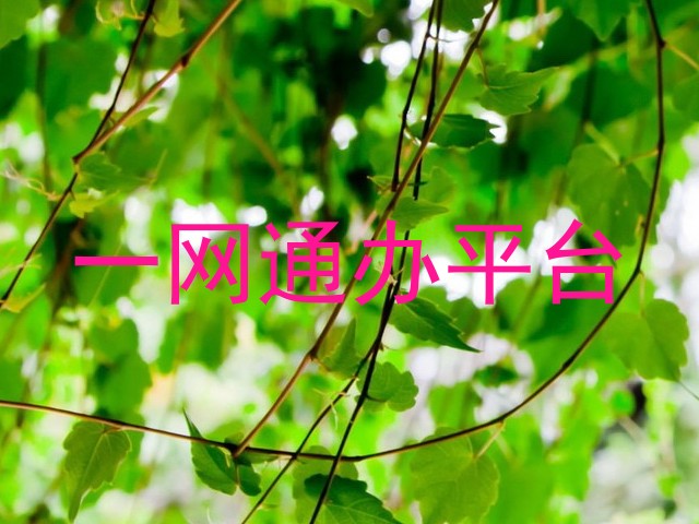 一网通办平台