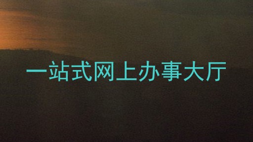 一站式网上办事大厅