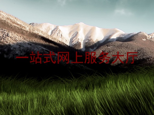 一站式网上服务大厅