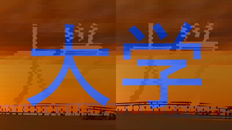 大学