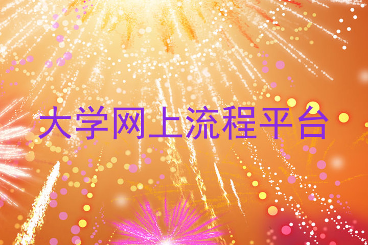 大学网上流程平台