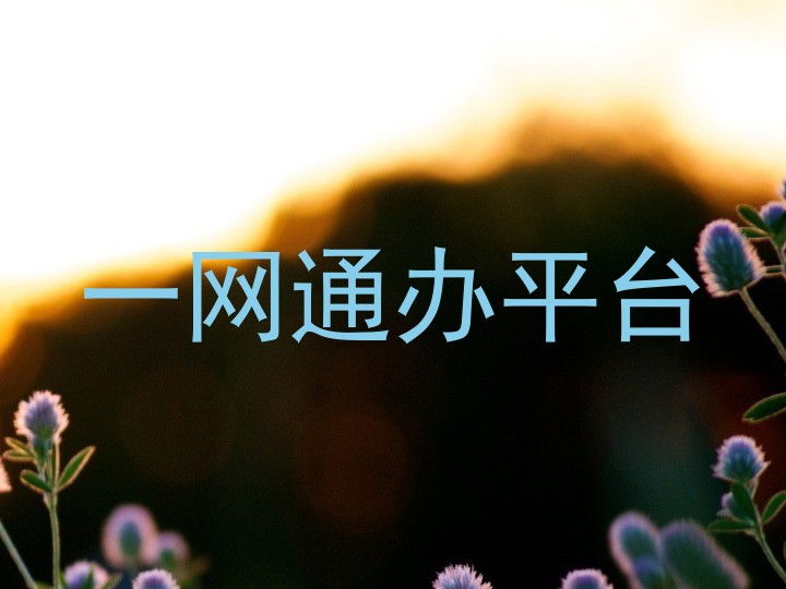 一网通办平台