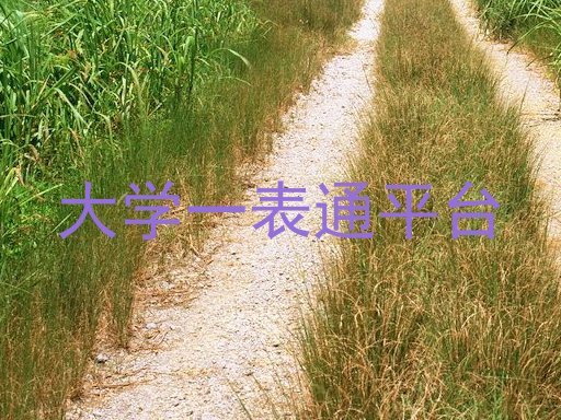 大学一表通平台