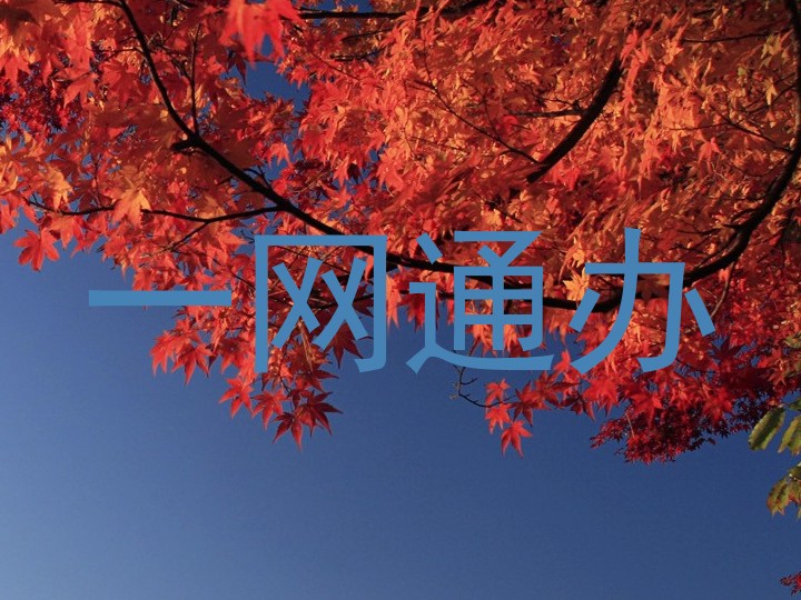 一网通办