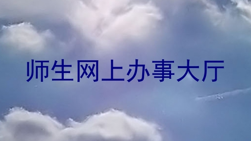 师生网上办事大厅