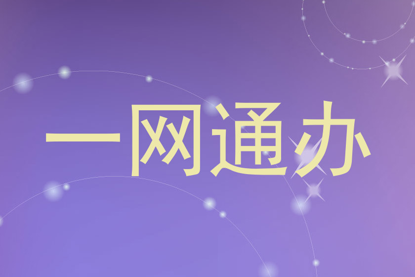 一网通办