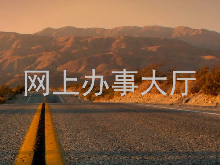 网上办事大厅