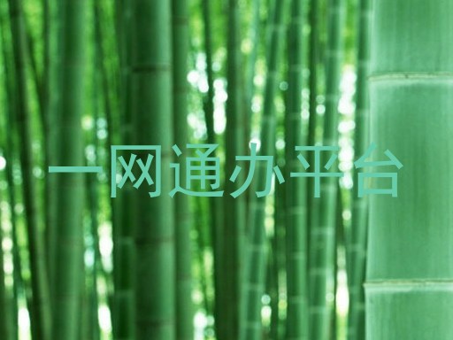 一网通办平台