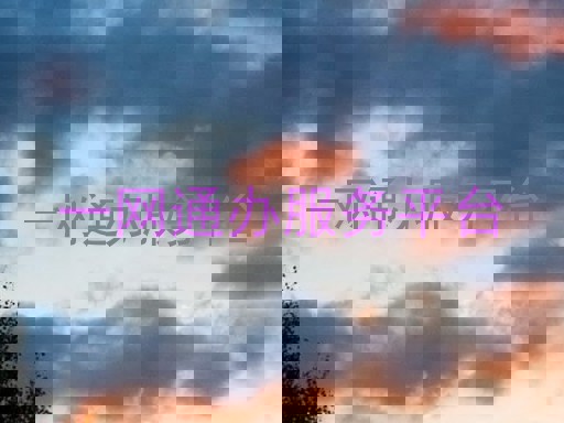 一网通办服务平台