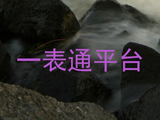 一表通平台