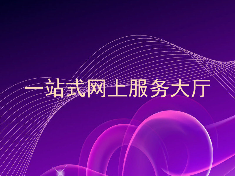 一站式网上服务大厅