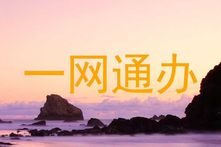 一网通办