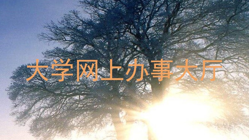 大学网上办事大厅