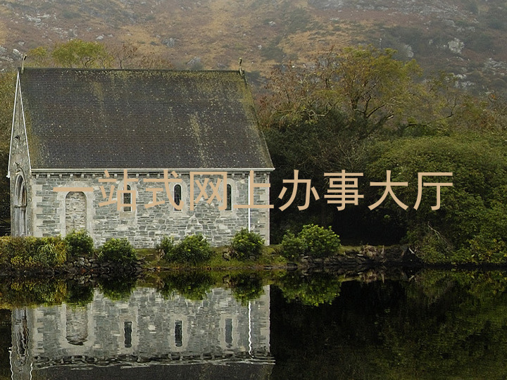 一站式网上办事大厅