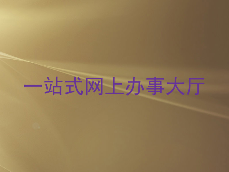 一站式网上办事大厅