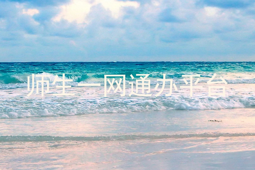师生一网通办平台