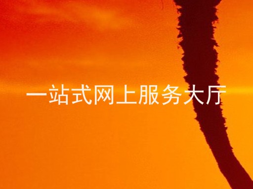 一站式网上服务大厅