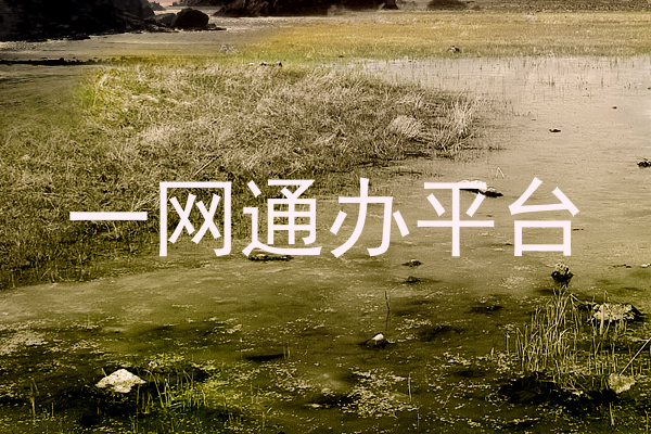 一网通办平台