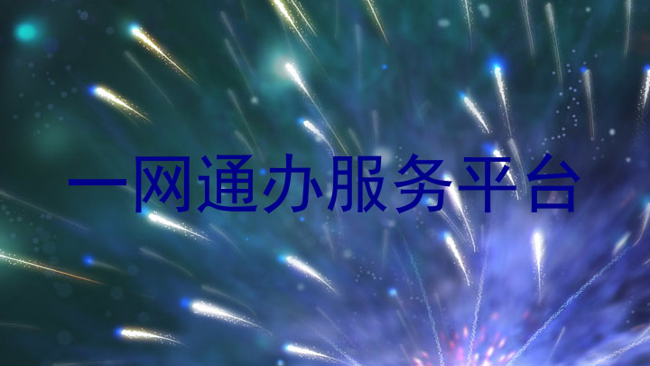 一网通办服务平台