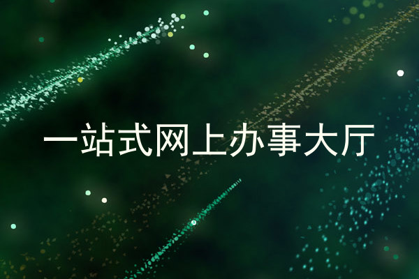 一站式网上办事大厅