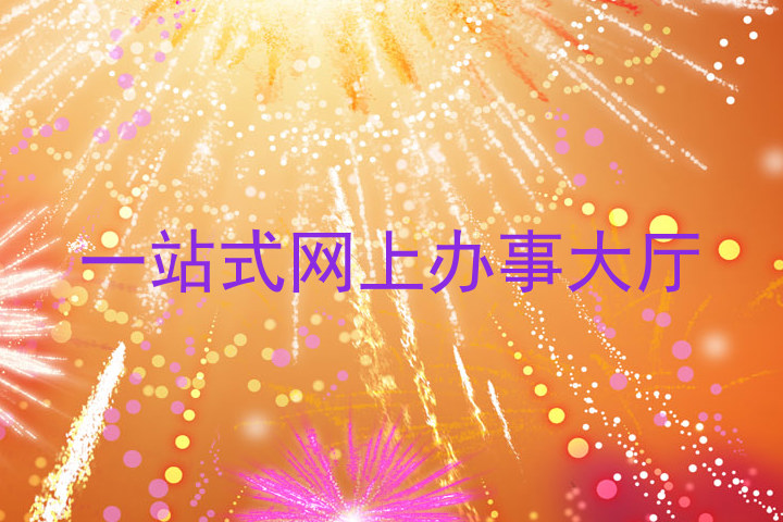 一站式网上办事大厅