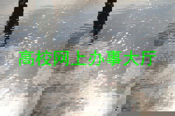高校网上办事大厅
