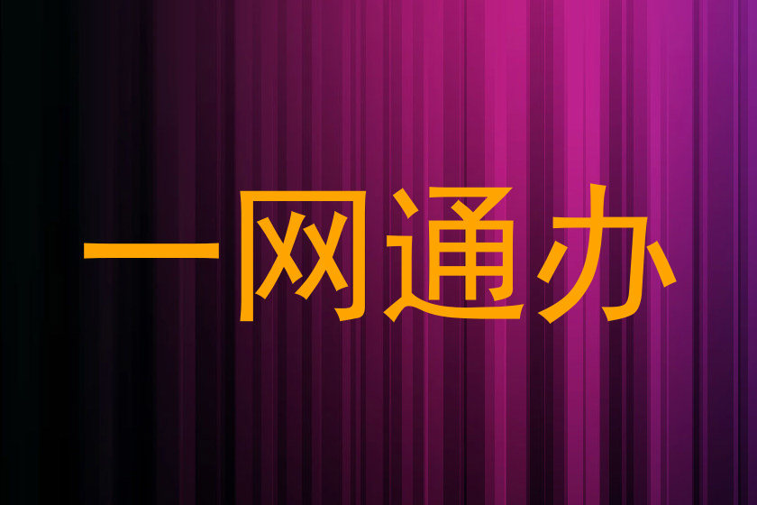 一网通办