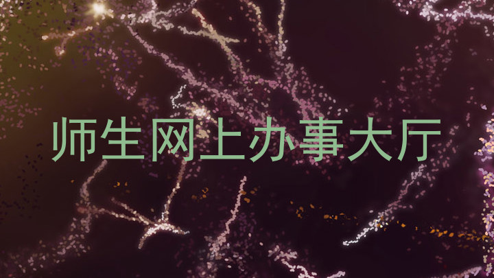 师生网上办事大厅