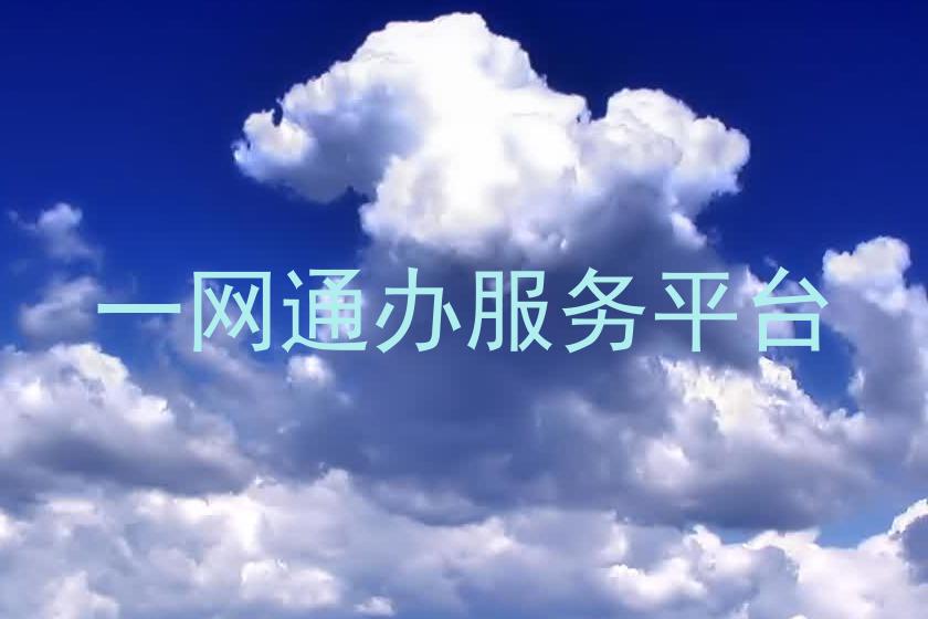 一网通办服务平台