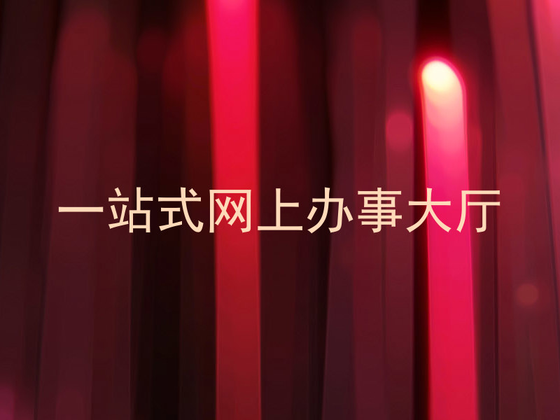 一站式网上办事大厅