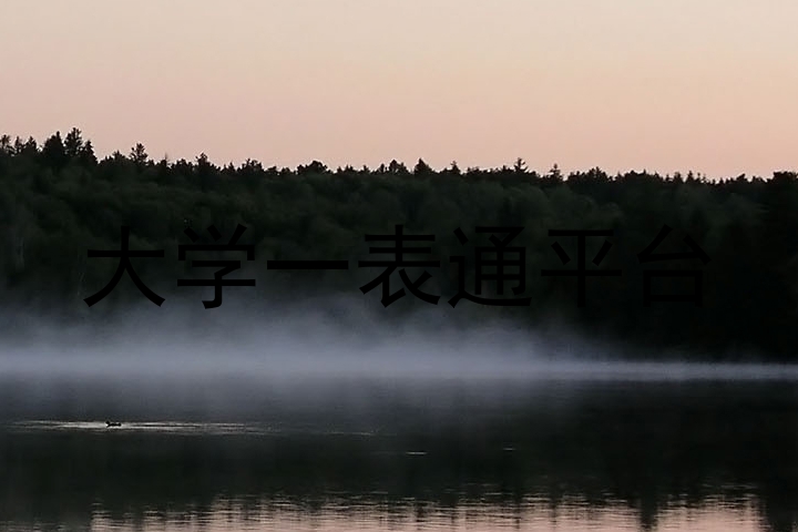 大学一表通平台