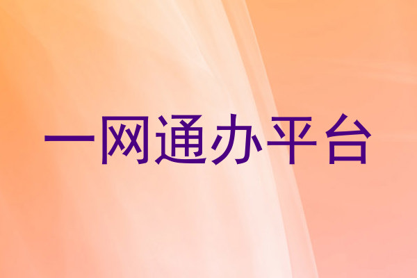 一网通办平台