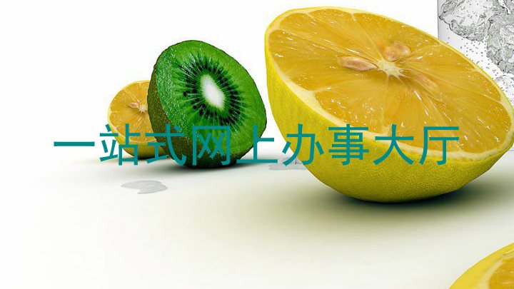 一站式网上办事大厅