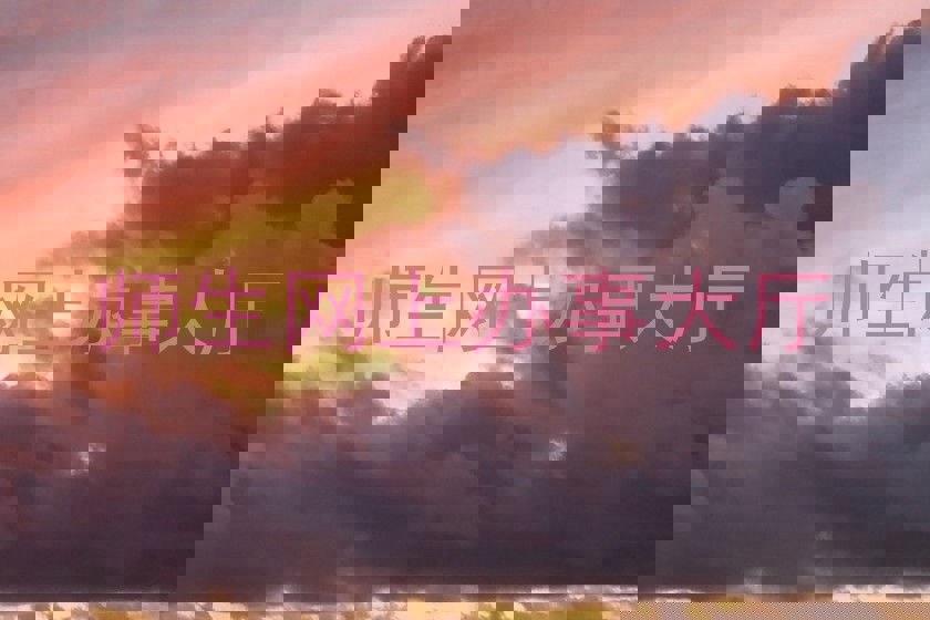师生网上办事大厅