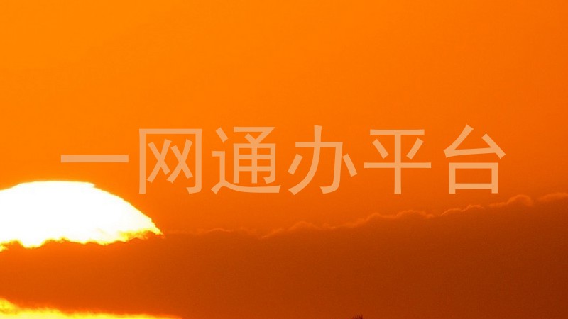 一网通办平台