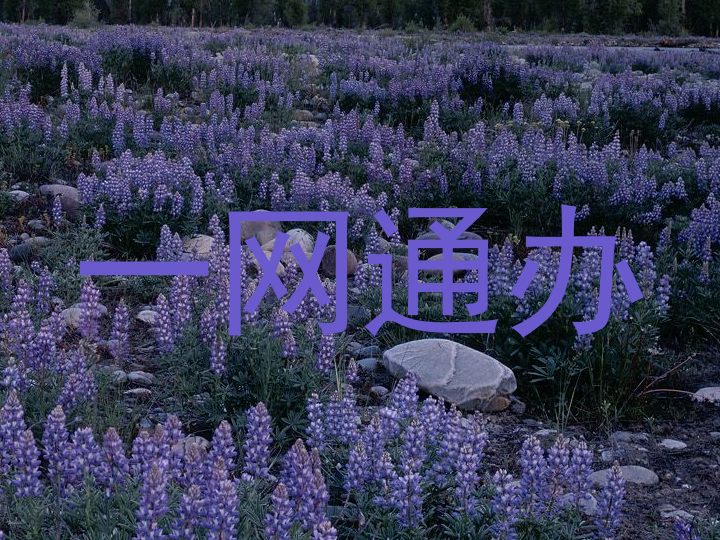 一网通办