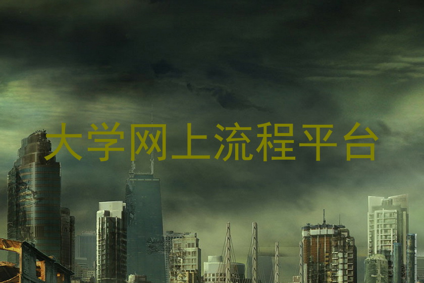 大学网上流程平台