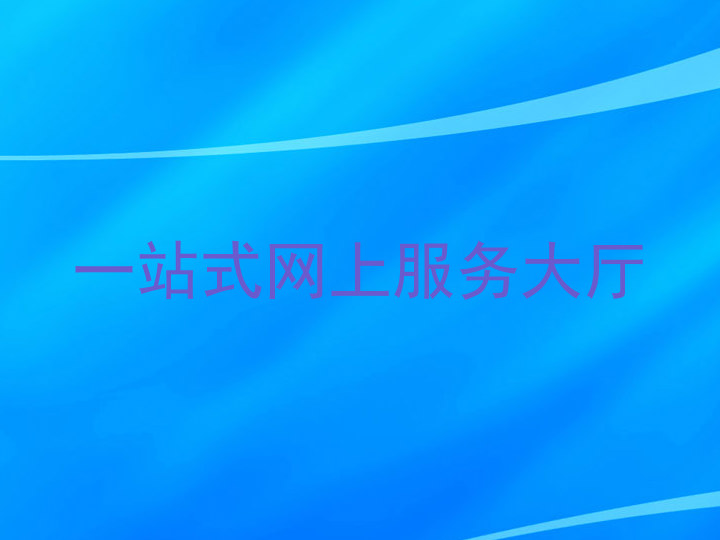 一站式网上服务大厅