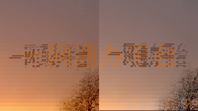 一网通办平台