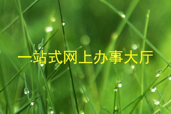 一站式网上办事大厅