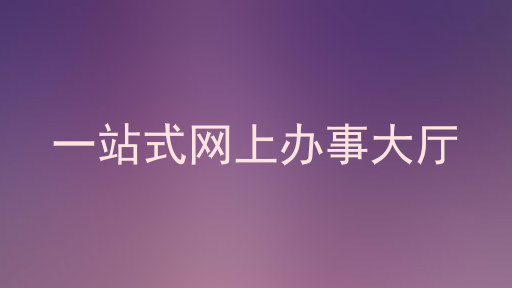 一站式网上办事大厅