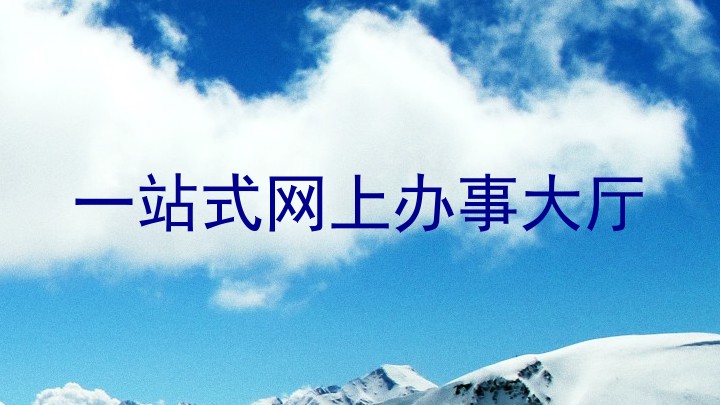 一站式网上办事大厅