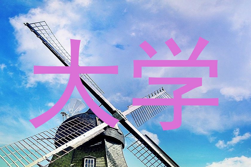 大学