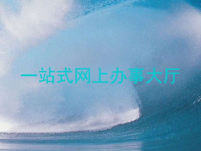 一站式网上办事大厅