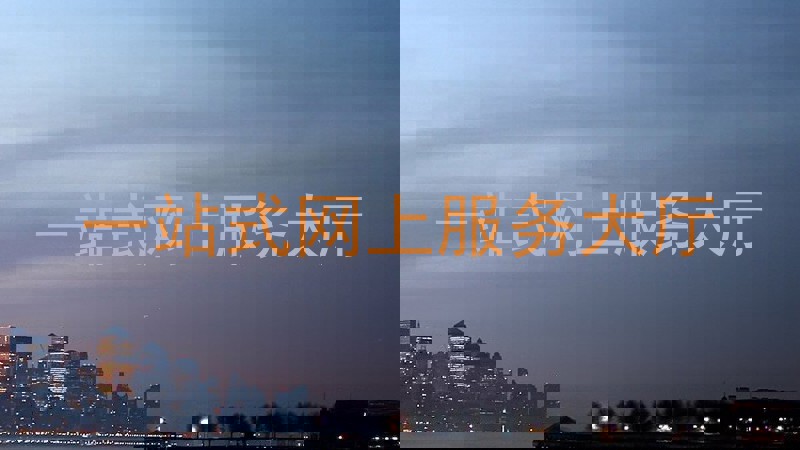 一站式网上服务大厅