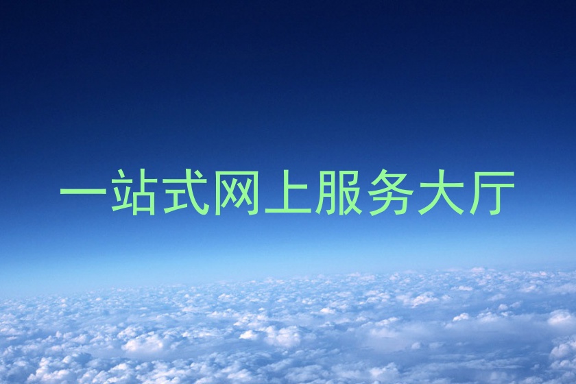 一站式网上服务大厅