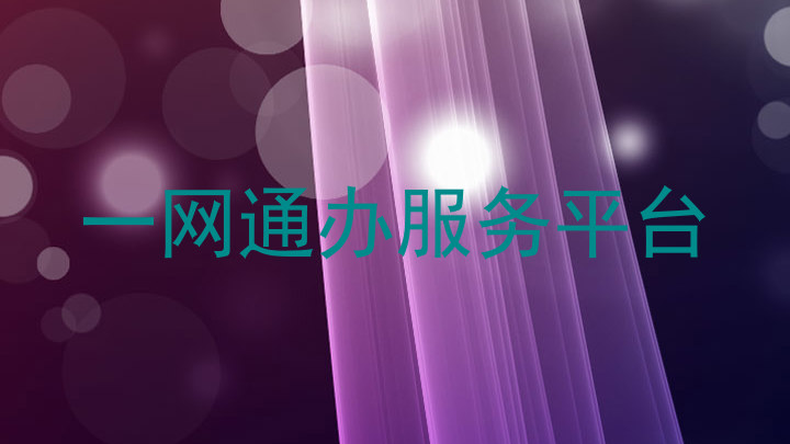 一网通办服务平台